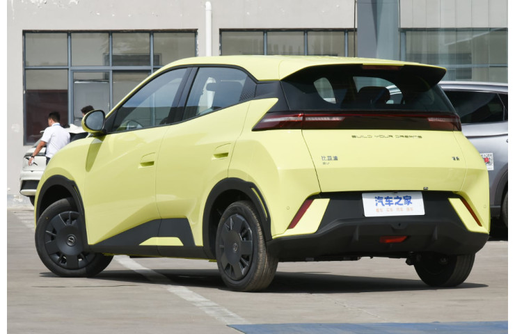 BYD SEAGUL BASE 30.08 kWh VITALITY 30 KWT