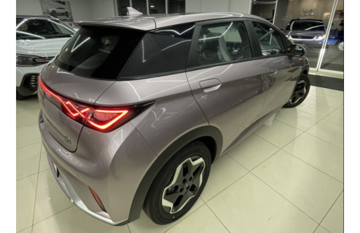 BYD DOLPHIN FASHION